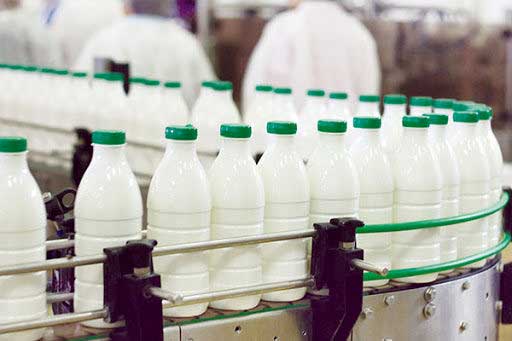 بطری های شیر در خط تولید