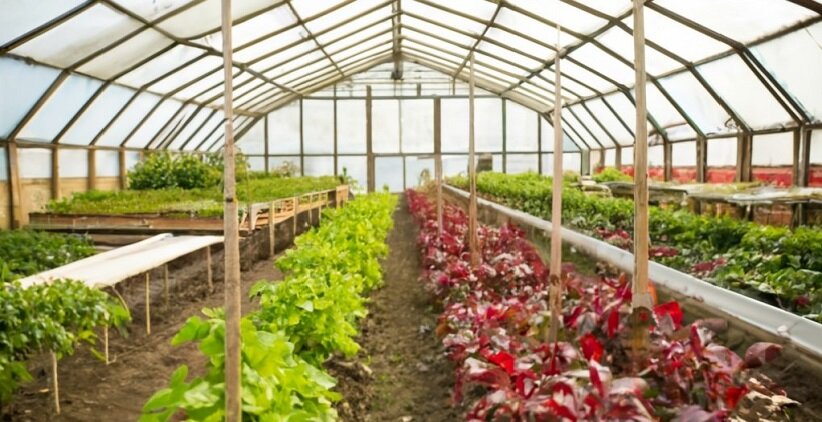 گلخانه برای کشاورزی