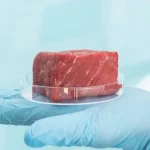 نوآوری کشاورزی - گوشت آزمایشگاهی