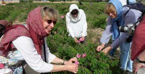 گردشگری کشاورزی در اردبیل