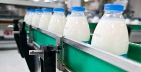 خط تولید شیر - صنایع تبدیلی دام
