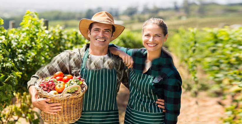 روابط خانوادگی در کار کشاورزی - زن و شوهر کشاورز