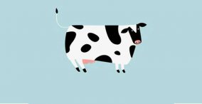 عکس کارتونی از گاو شیری