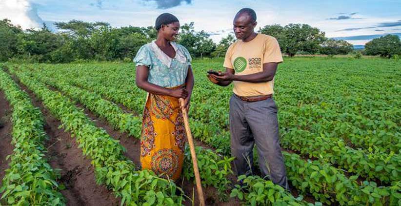 زن و مرد کشاورز آفریقایی