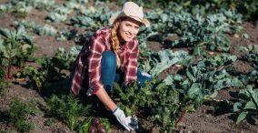 فعالیت زن کشاورز بر روی زمین و انجام کشاورزی خانوادگی