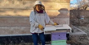 زهرا خداکرمی - زنبورداری در زنجان - یک زن زنبوردار - برنامه ریزی