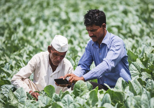 عکس گرفتن از گیاه توسط کشاورز هندی