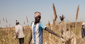 کشاورزی جوانان آفریقایی - سودان جنوبی