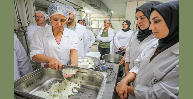 زنان ترکیه ای در حال یاد گرفتن - پنیر موزارلا - نحوه درست کردن پنیر موزارلا