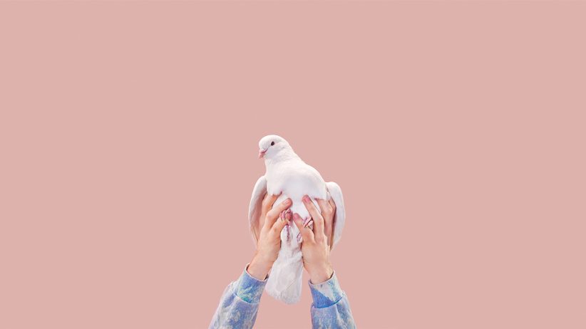 کبوتری در دست آماده پریدن - ضریب نجابت