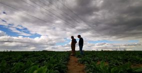 مشکل انرژی در اروپا - دو کشاورز اروپایی مرد در کنار زمین های خود
