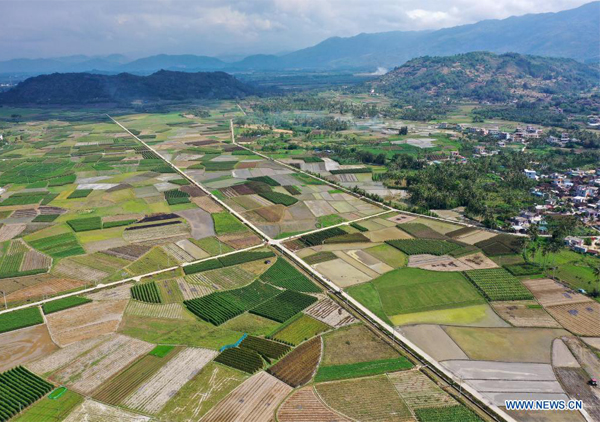 کشاورزی در استان هاینان چین