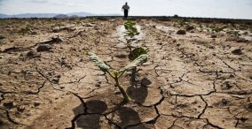 حضور مرد آفریقایی در زمین کشاورزی خشک شده در دوردست - خشکسالی در آفریقا