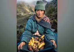 زن روستایی با دامنی از میوه ها و سبزیجات - تغذیه جهان