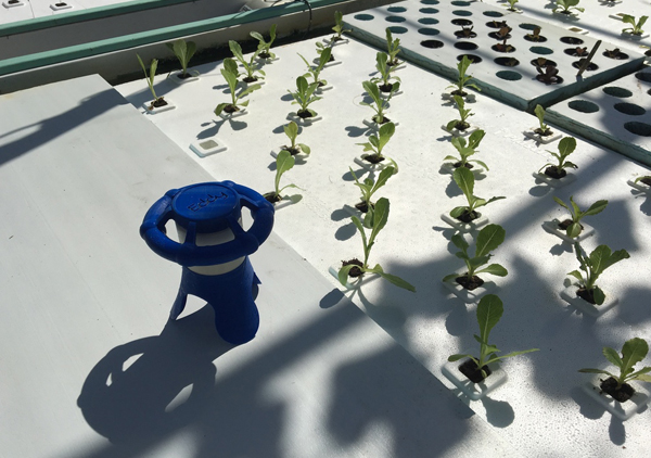 دستگاه ادی eddy برای پرورش گیاهان - پروژه موفق