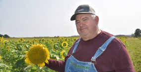 میم رسانه های اجتماعی - مرد کشاورز در کنار گل آفتابگردان