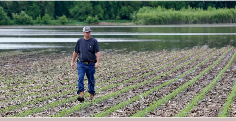 کشاورز آمریکایی - پیش بینی های بلندمدت کشاورزی