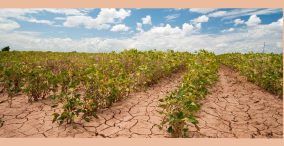 تغییرات آب و هوایی در جهان و تاثیر آن بر کشاورزی