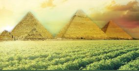 روش های دوستدار محیط زیست - مصر - کشاورزی در مصر