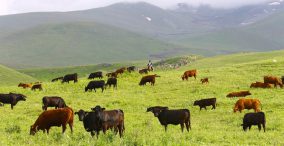 دهکده کشاورزی در ترکیه و آذربایجان