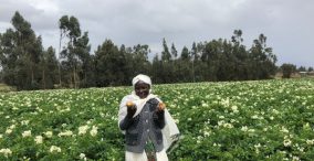 کشاورزی هوشمند در اتیوپی