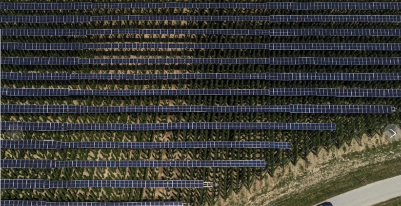 تولید انرژی پاک در مزارع خورشیدی