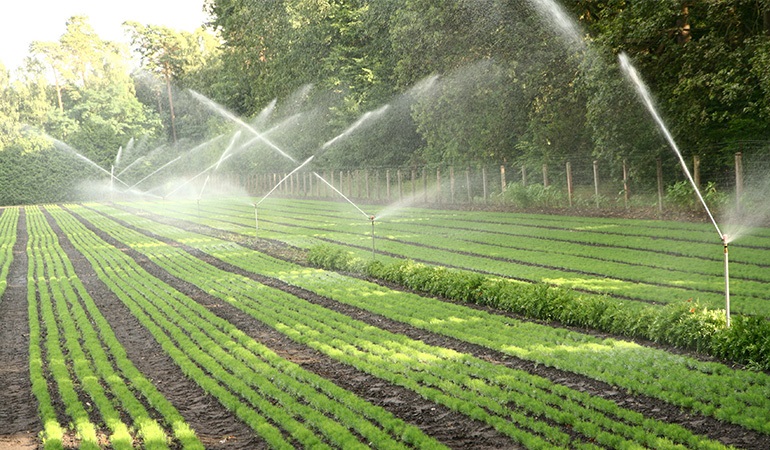 نقش هوش مصنوعی در آبیاری بهینه محصولات کشاورزی