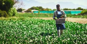 کشاورزان خرده مالک در آفریقا
