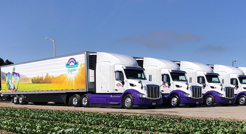 کامیون های ترانزیتی محصولات کشاورزی