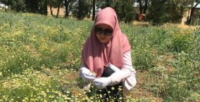 maryam niazi , medicinal herbs farmer