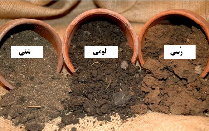 انواع خاک