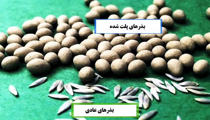 بذرهای پلت شده