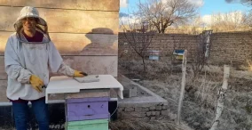 women beekeeping in iran